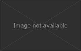 Picture of 2020 Chevrolet Silverado 1500